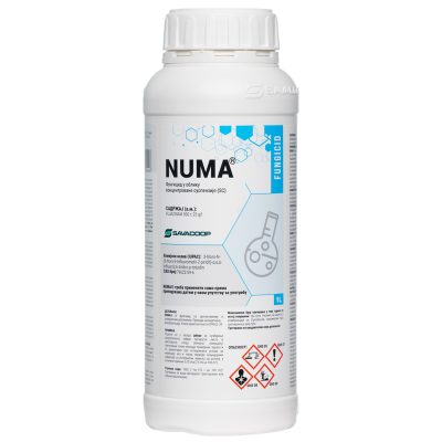 Numa 1l