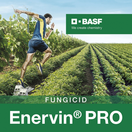 poljokomerc enervin pro